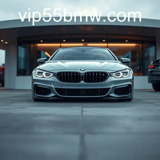 Exploring the Artistic World of 'Photo Gallery' Through the Lens of 55BMW